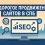 Недорогое продвижение сайтов в СПБ: как получить трафик без переплат